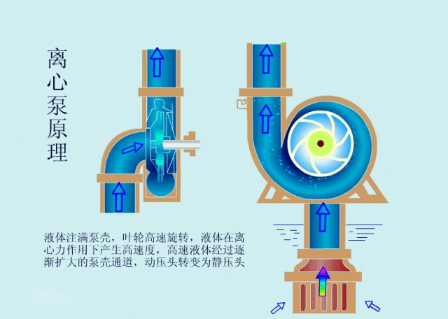 離心泵啟動時，出口閥門必 須關閉嗎？